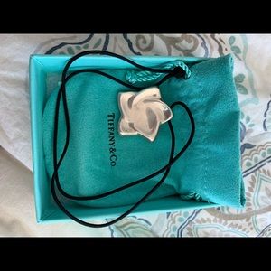 Tiffany Elsa Peretti Large Star Necklace